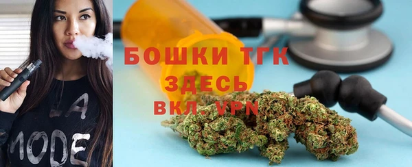 СК Алексин