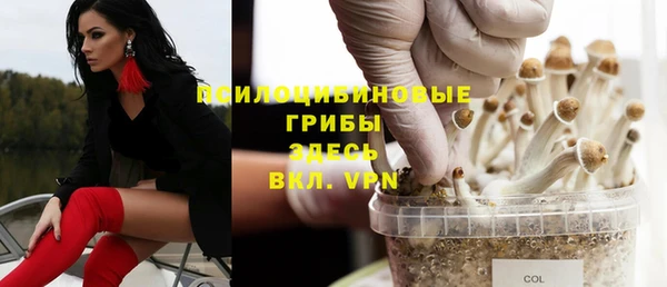 дмт Алексеевка