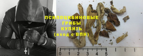 дмт Алексеевка