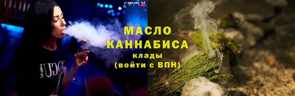 СК Алексин