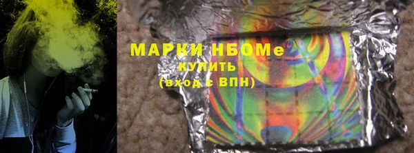 СК Алексин